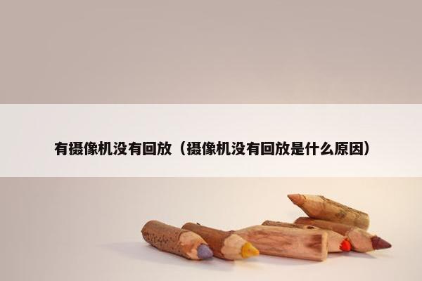 有摄像机没有回放（摄像机没有回放是什么原因）