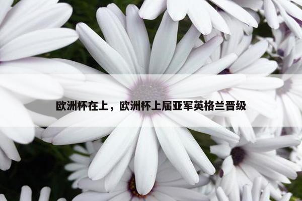 欧洲杯在上，欧洲杯上届亚军英格兰晋级