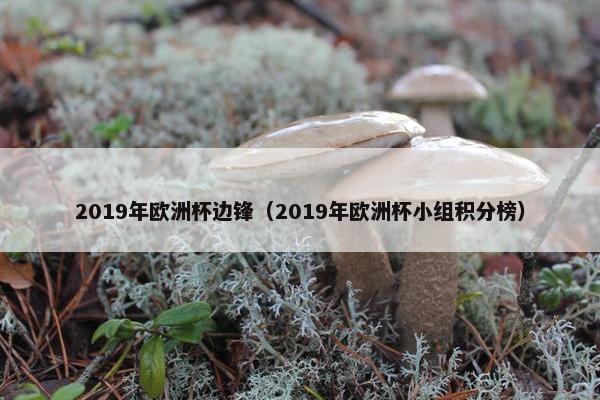 2019年欧洲杯边锋（2019年欧洲杯小组积分榜）