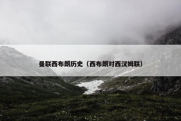 曼联西布朗历史（西布朗对西汉姆联）