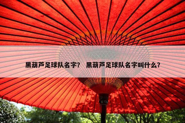 黑葫芦足球队名字？ 黑葫芦足球队名字叫什么？