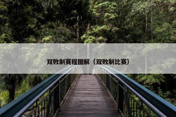 双败制赛程图解（双败制比赛）