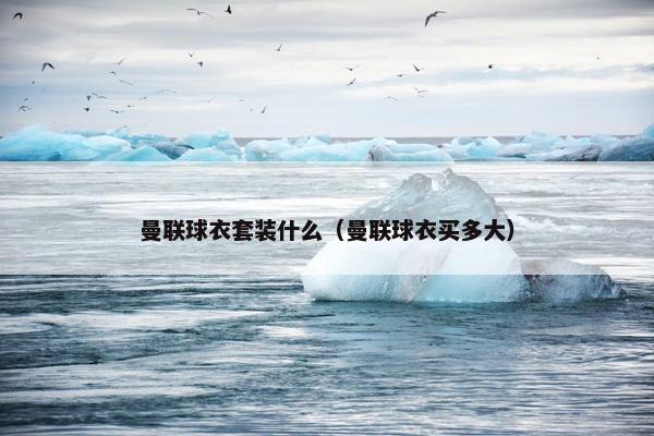 曼联球衣套装什么（曼联球衣买多大）