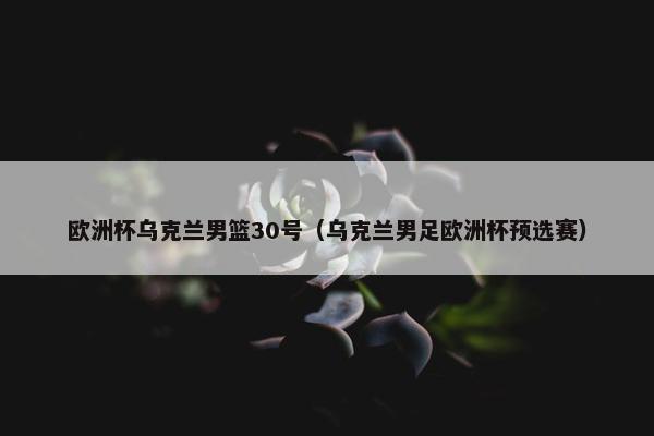 欧洲杯乌克兰男篮30号（乌克兰男足欧洲杯预选赛）