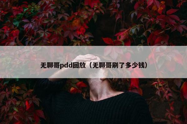 无聊哥pdd回放（无聊哥刷了多少钱）