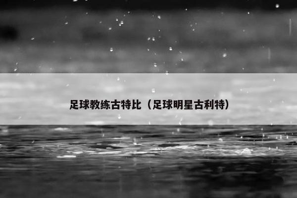 足球教练古特比（足球明星古利特）