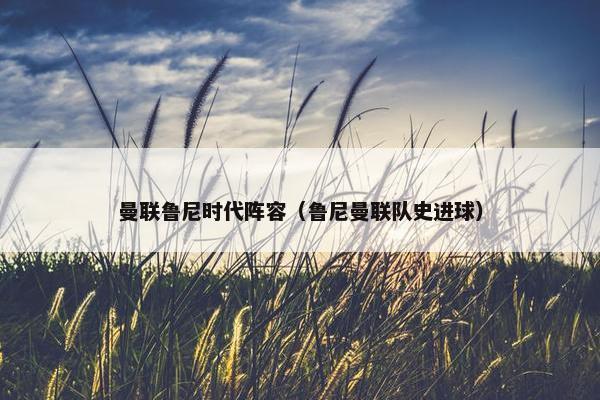 曼联鲁尼时代阵容（鲁尼曼联队史进球）