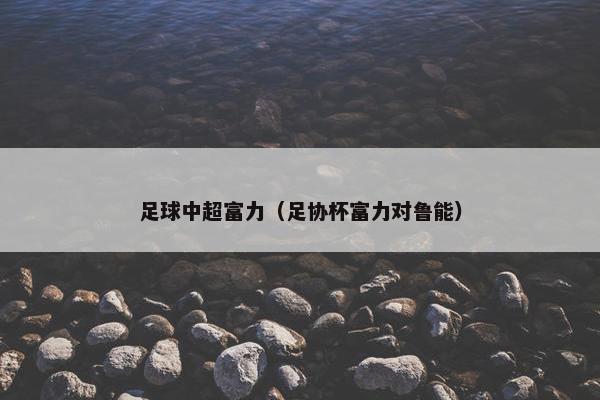 足球中超富力（足协杯富力对鲁能）