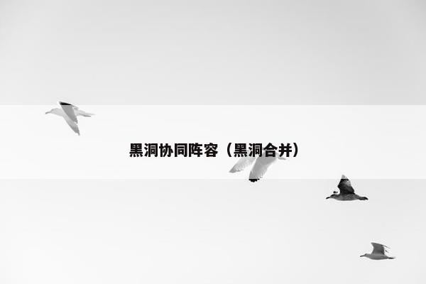黑洞协同阵容（黑洞合并）