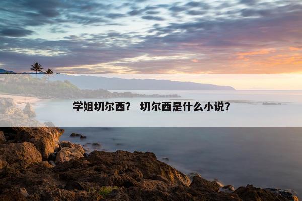 学姐切尔西？ 切尔西是什么小说？