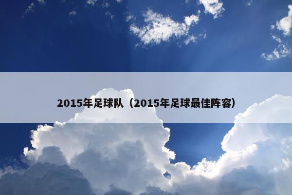 2015年足球队（2015年足球最佳阵容）