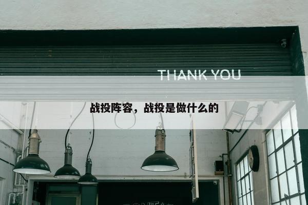 战投阵容，战投是做什么的