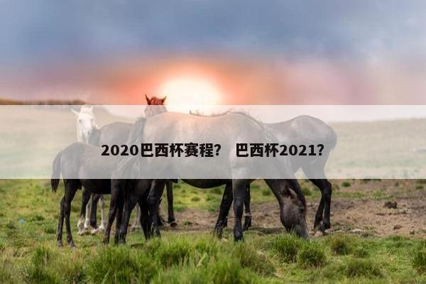 2020巴西杯赛程？ 巴西杯2021？