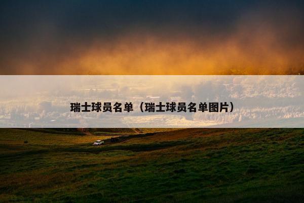 瑞士球员名单（瑞士球员名单图片）