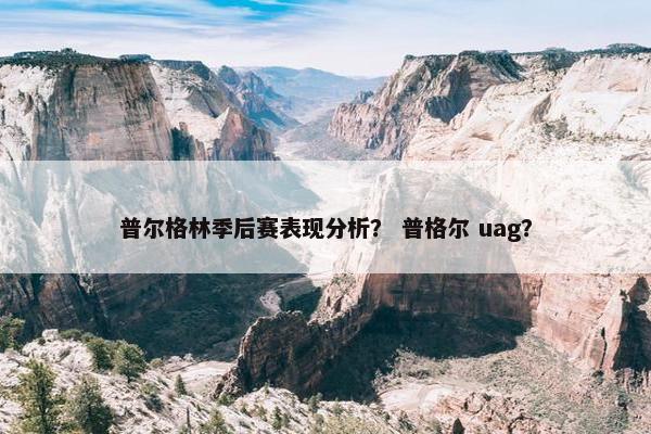 普尔格林季后赛表现分析？ 普格尔 uag？