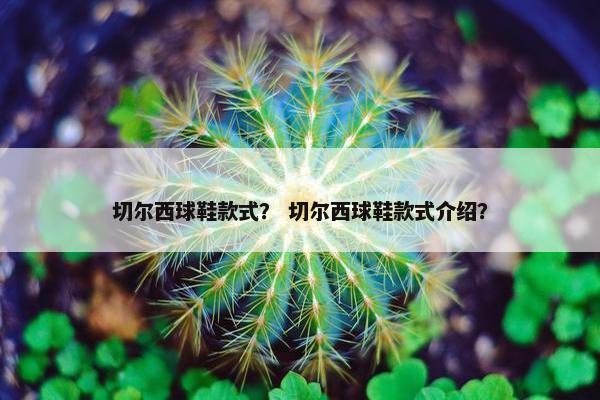 切尔西球鞋款式？ 切尔西球鞋款式介绍？