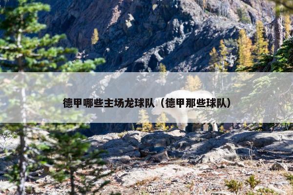 德甲哪些主场龙球队（德甲那些球队）