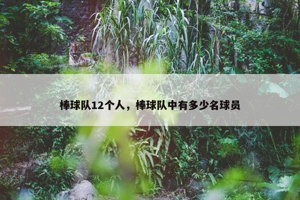 棒球队12个人，棒球队中有多少名球员