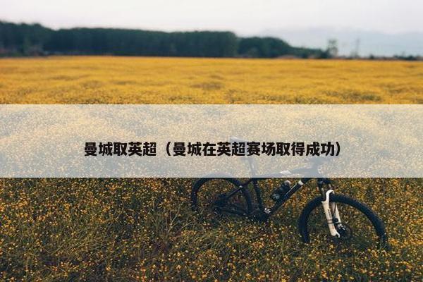 曼城取英超（曼城在英超赛场取得成功）