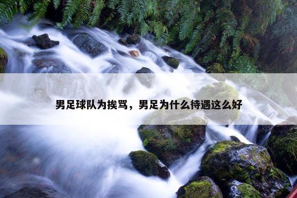 男足球队为挨骂，男足为什么待遇这么好