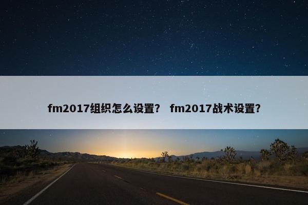 fm2017组织怎么设置？ fm2017战术设置？
