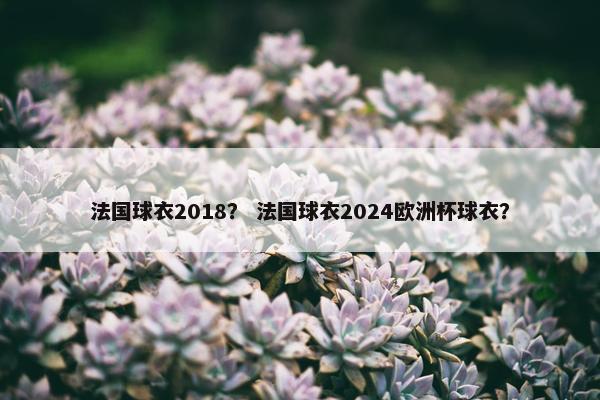 法国球衣2018？ 法国球衣2024欧洲杯球衣？