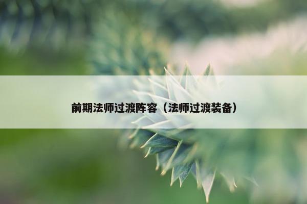 前期法师过渡阵容（法师过渡装备）