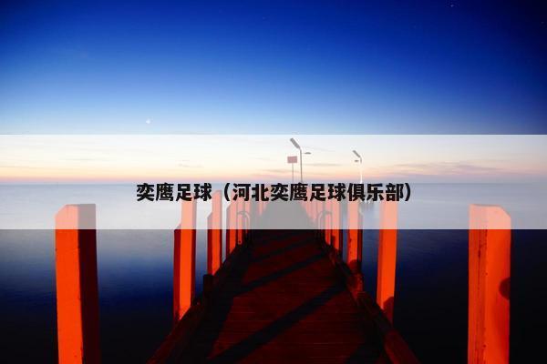 奕鹰足球（河北奕鹰足球俱乐部）