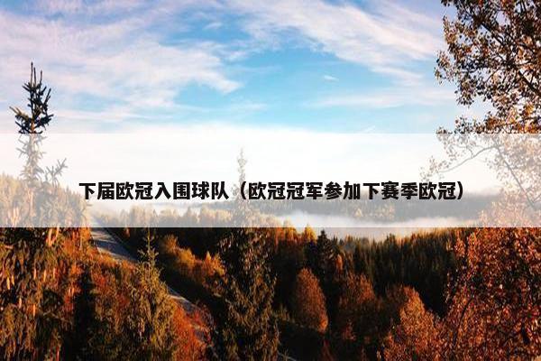 下届欧冠入围球队（欧冠冠军参加下赛季欧冠）