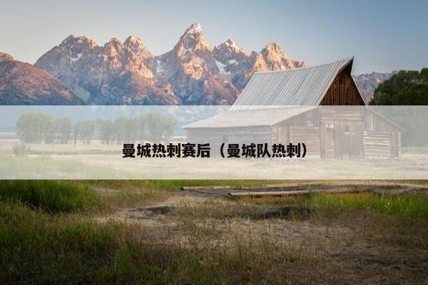 曼城热刺赛后（曼城队热刺）