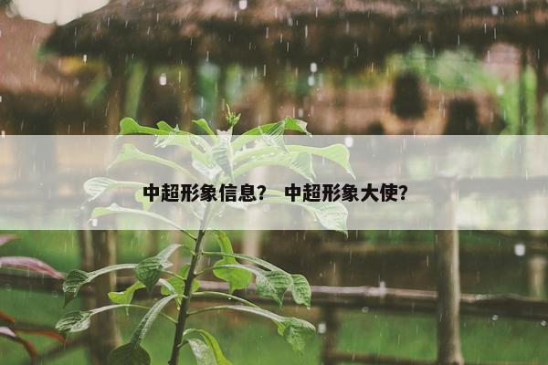 中超形象信息？ 中超形象大使？