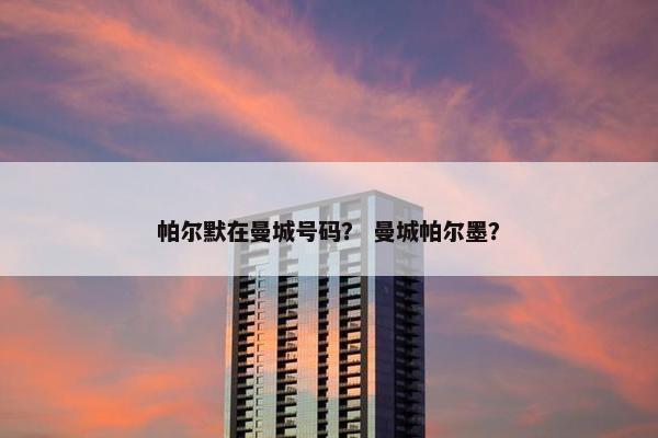 帕尔默在曼城号码？ 曼城帕尔墨？