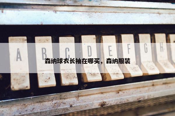 森纳球衣长袖在哪买，森纳服装