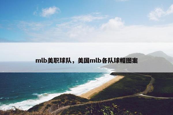 mlb美职球队，美国mlb各队球帽图案