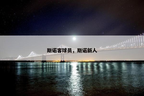 斯诺客球员，斯诺新人