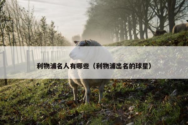 利物浦名人有哪些（利物浦出名的球星）