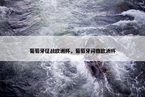 葡萄牙征战欧洲杯，葡萄牙问鼎欧洲杯
