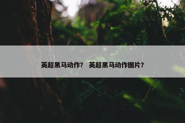 英超黑马动作？ 英超黑马动作图片？