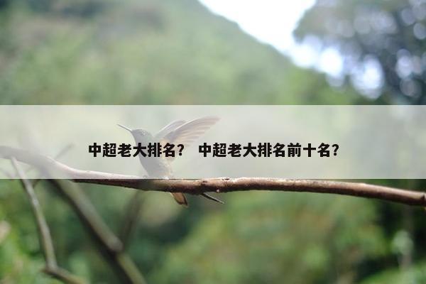 中超老大排名？ 中超老大排名前十名？