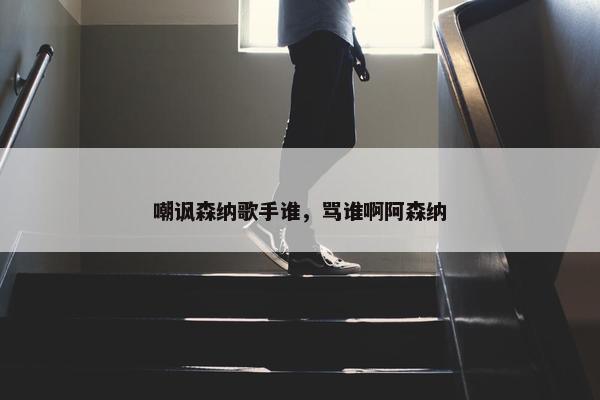 嘲讽森纳歌手谁，骂谁啊阿森纳