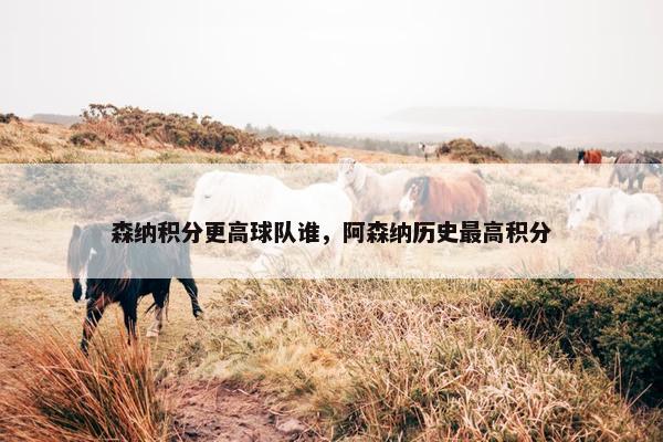 森纳积分更高球队谁，阿森纳历史最高积分