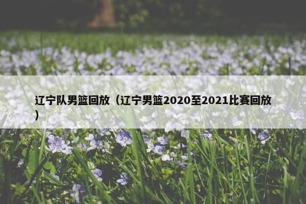 辽宁队男篮回放（辽宁男篮2020至2021比赛回放）