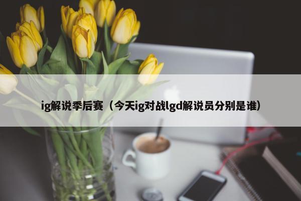 ig解说季后赛（今天ig对战lgd解说员分别是谁）