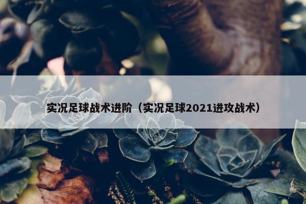 实况足球战术进阶（实况足球2021进攻战术）