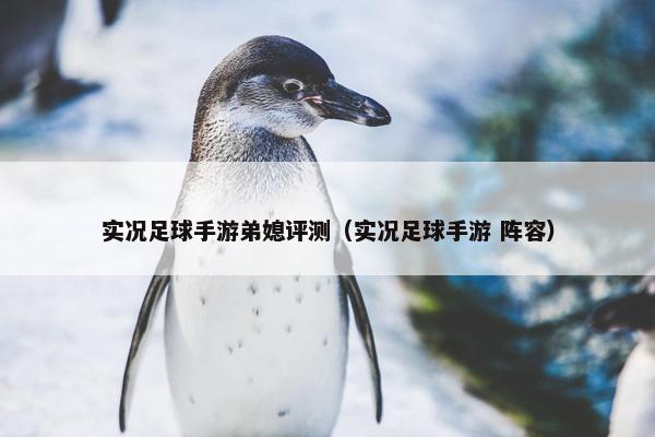 实况足球手游弟媳评测（实况足球手游 阵容）