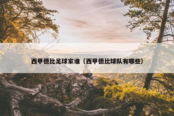 西甲德比足球家谁（西甲德比球队有哪些）