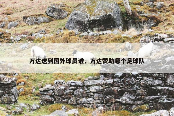 万达送到国外球员谁，万达赞助哪个足球队