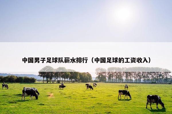 中国男子足球队薪水排行（中国足球的工资收入）