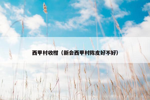 西甲村收柑（新会西甲村陈皮好不好）