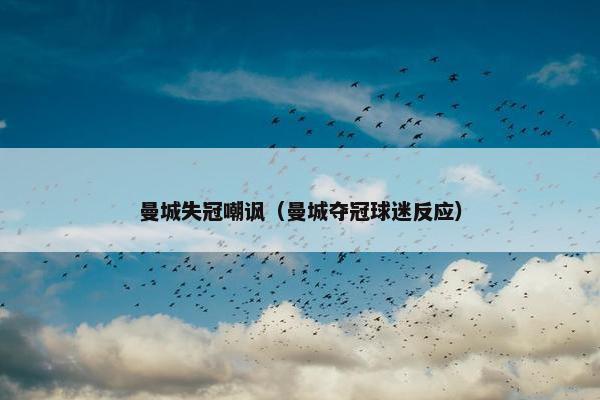 曼城失冠嘲讽（曼城夺冠球迷反应）